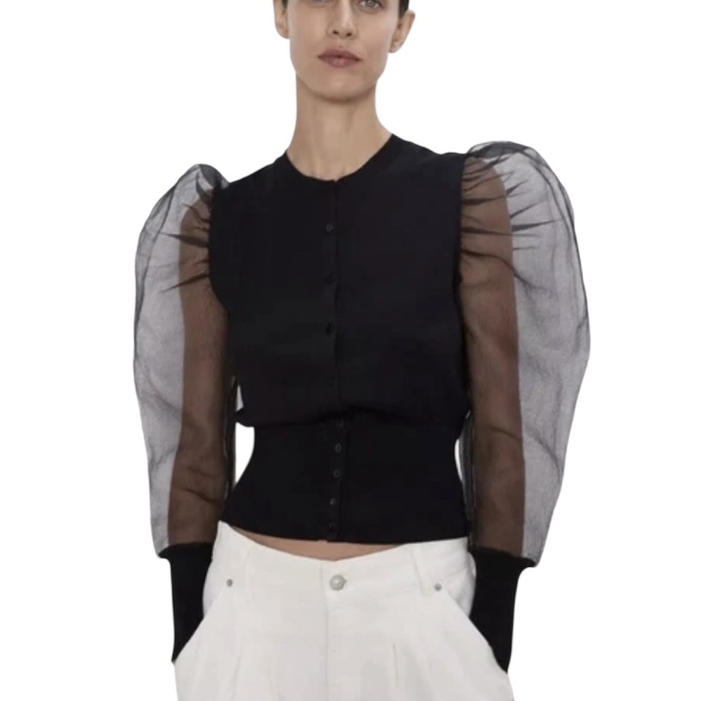 Zara Womenโs Black Puff Long Sleeve Sheer Organza Top | Size Small